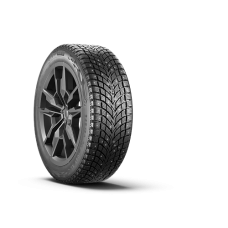 Зимние шины 205/55 R16 Ikon Tyres Autograph Ice 10 94T XL Ш